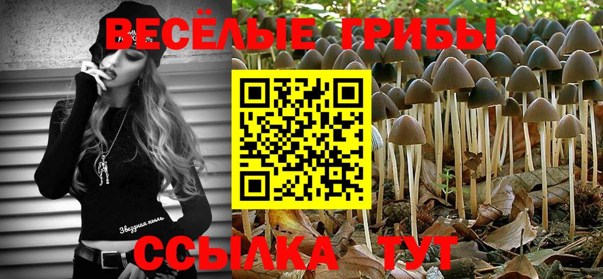 Галлюциногенные грибы прущие грибы  Вход с VPN  Псилоцибиновые грибы мухоморы  Кубинка 